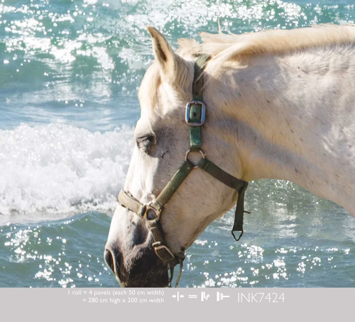 Kate & Andy Behang - Horse on the Beach - Paarden behang