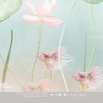 Kate & Andy Behang - Swan Pond (pink)