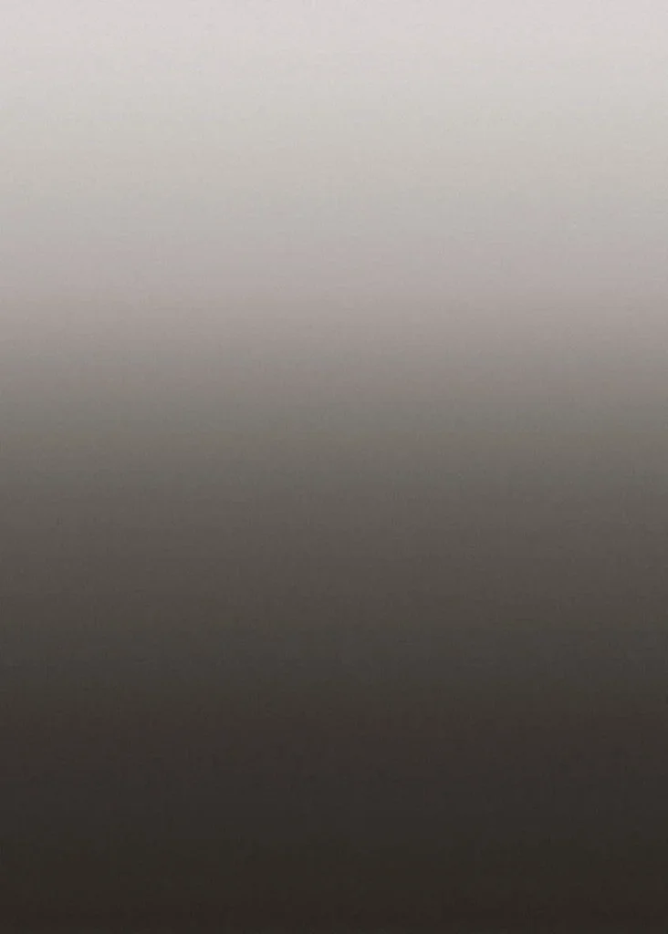 Le motif à plat : un dégradé du blanc au gris foncé
