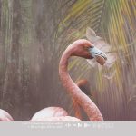 Floral Utopia Wallpaper - Flamingo Found Dark