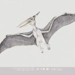 Kinderbehang Dino Parc, Gray