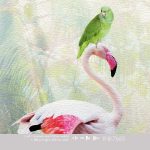 Kinderbehang Jungle Dance