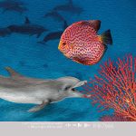 Kinderbehang Aquarium