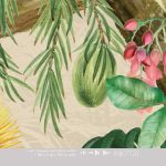 Favourite Hide-Out - Wallpaper