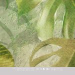 Good Morning Nature - Wallpaper