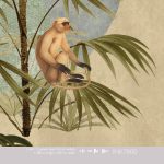 Kinderbehang het platte beeld per rol INK7800