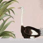 Kinderbehang het platte beeld per rol INK7805