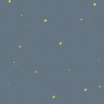 Kinderbehang het platte beeld per rol INK7824