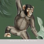 Kinderbehang het platte beeld per rol INK7842