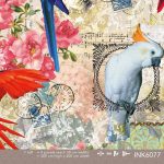 Parroty - Colour Choc Behang