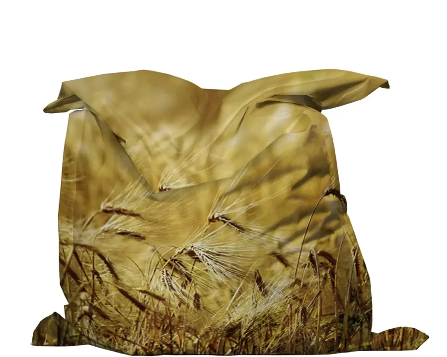 Zitzak met Print FW1006