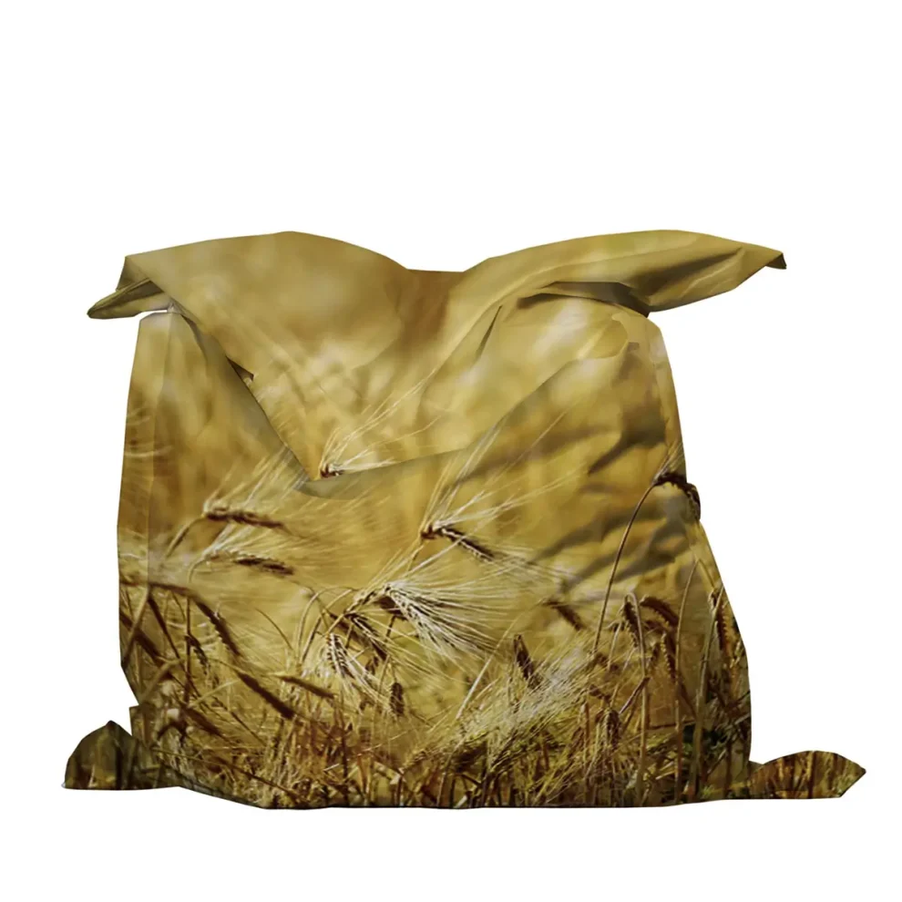 Zitzak met Print FW1006