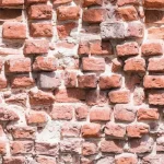 Küchenrückwand mit Druck - DW7620