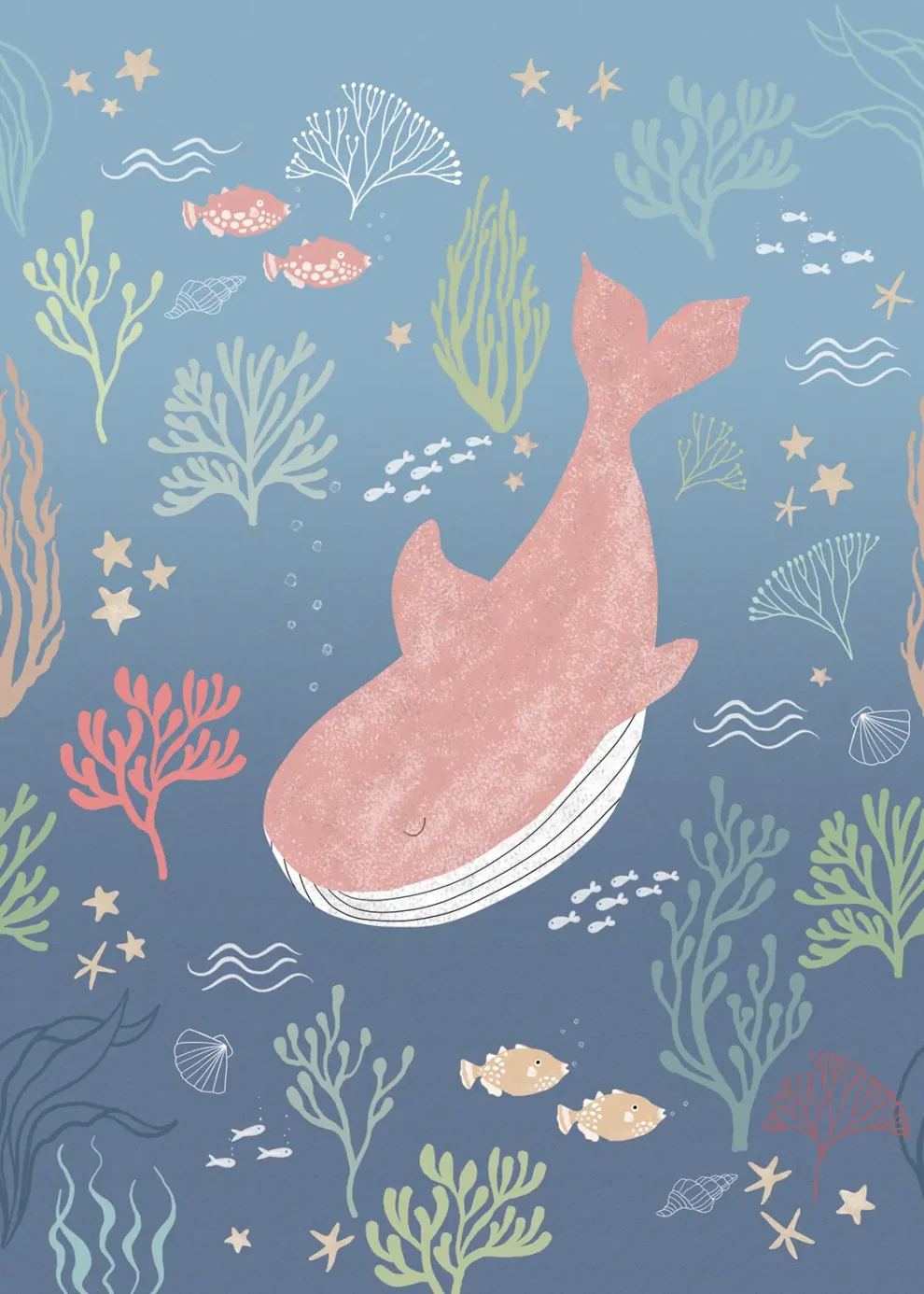Sam & Luca - Whale Magic soft