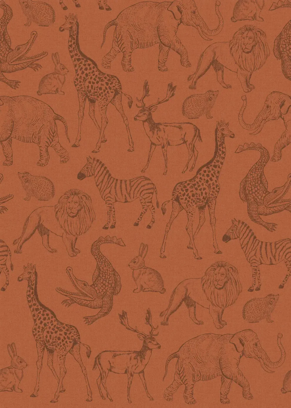 Sam & Luca - Life is a Zoo terra