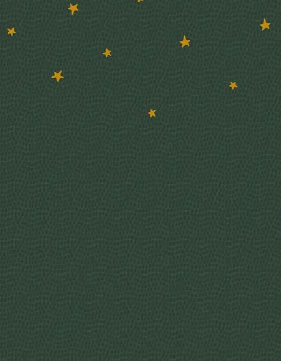 Sam & Luca - Dino nights uni dots forest green