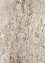 Enjoy Life - Fossil Leaves