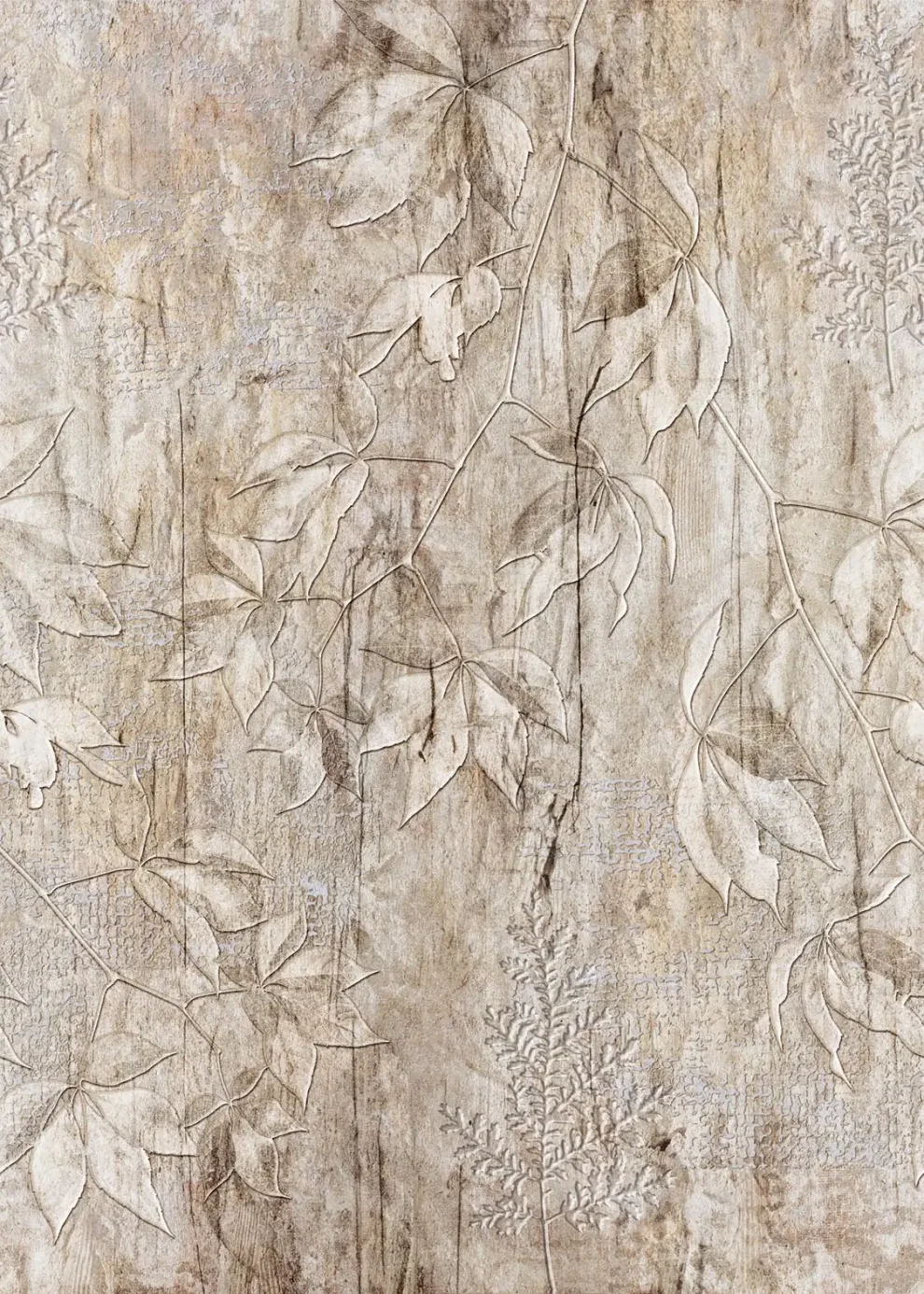 Enjoy Life - Fossil Leaves