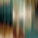 Enjoy Life - Love the Rain