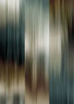 Enjoy Life - After the Storm